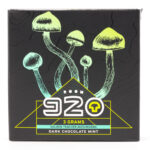 Room 920 - Mushroom Chocolate Bar - Dark Chocolate Mint - 3 grams | Mushroom Gummies Canada