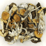 Full Moon Party | Mushroom Gummies Canada
