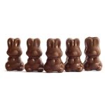 Alice - Mushroom Milk Chocolate - 2.5g | Mushroom Gummies Canada