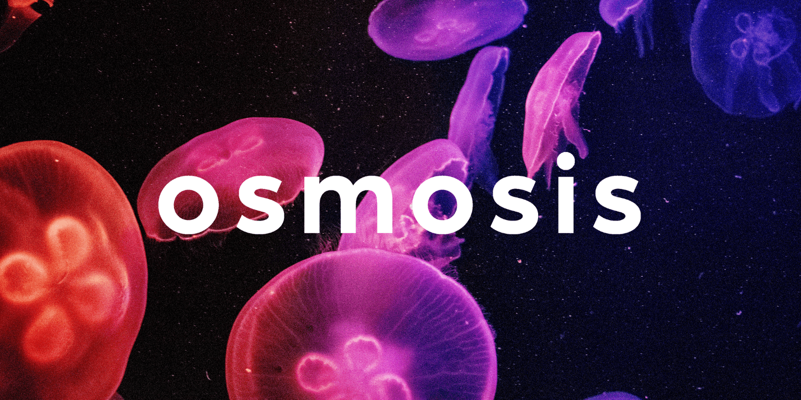 Zoomies osmosis banner | Mushroom Gummies Canada