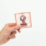 Wonder – Psilocybin Chocolate Bar – Blood Orange | Mushroom Gummies Canada