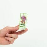 Wonder – Psilocybin Chocolate Bar – Dark Chocolate | Mushroom Gummies Canada
