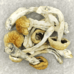 Chitwan Nepal | Mushroom Gummies Canada