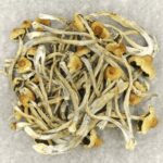 Hautla | Mushroom Gummies Canada