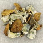 King Kong | Mushroom Gummies Canada