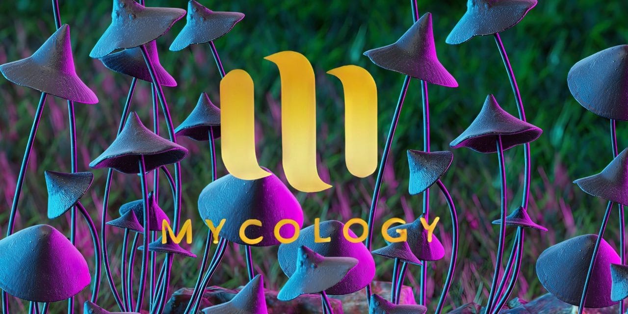 Zoomies Summer 2023 Banner - Mycology | Mushroom Gummies Canada