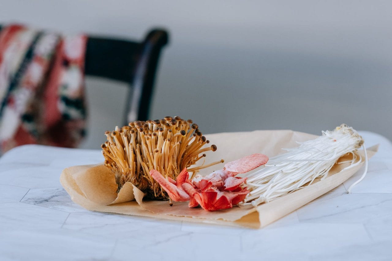 Purchase Mushrooms Online in Canada for Christmas Mushroom Recipes