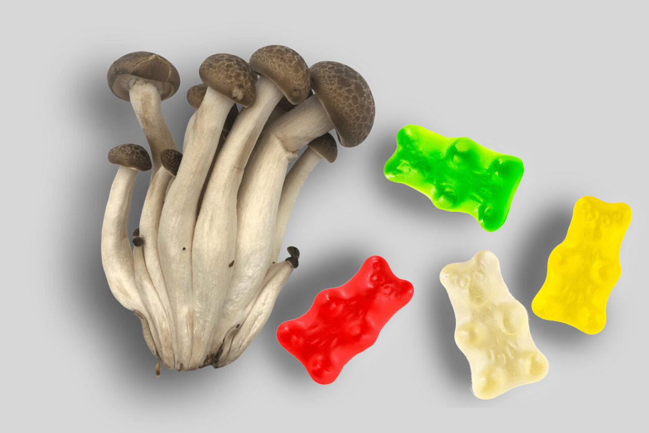 Top LSD edibles in Canada Edibles laced with LSD